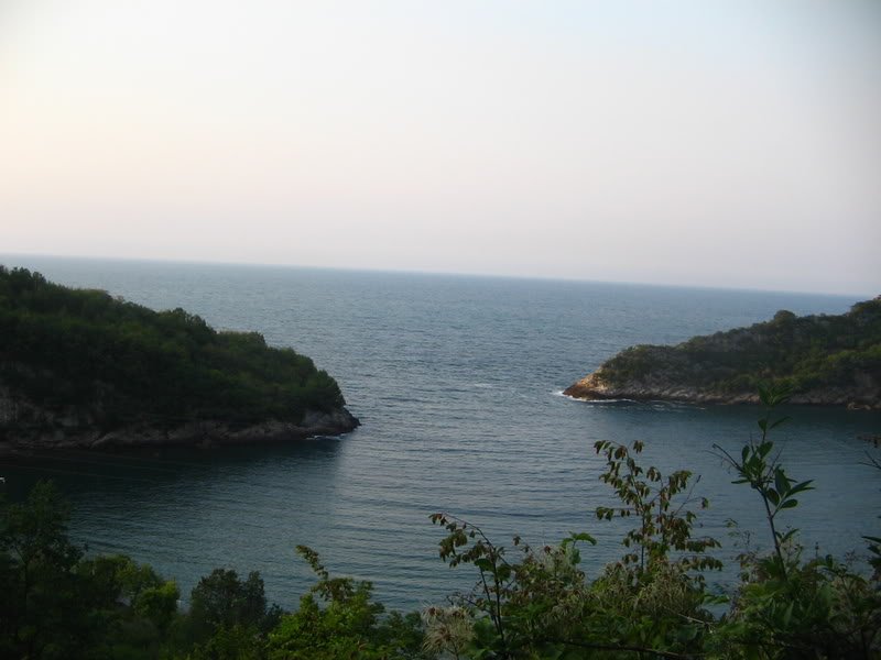 IMG_0348.jpg