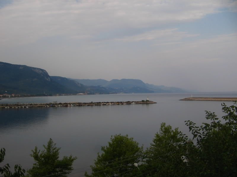 IMG_0357.jpg