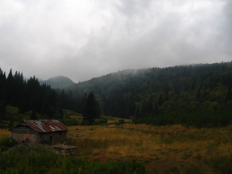 IMG_0371.jpg