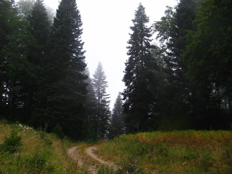 IMG_0398.jpg