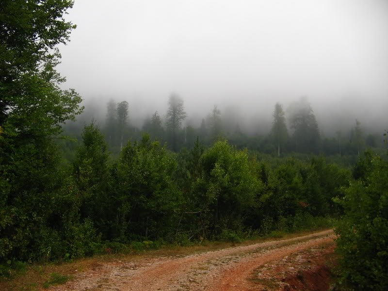 IMG_0407.jpg