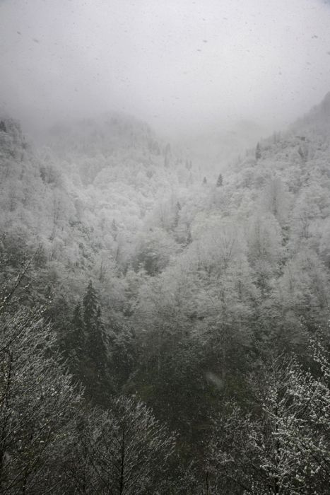 IMG_0446.jpg