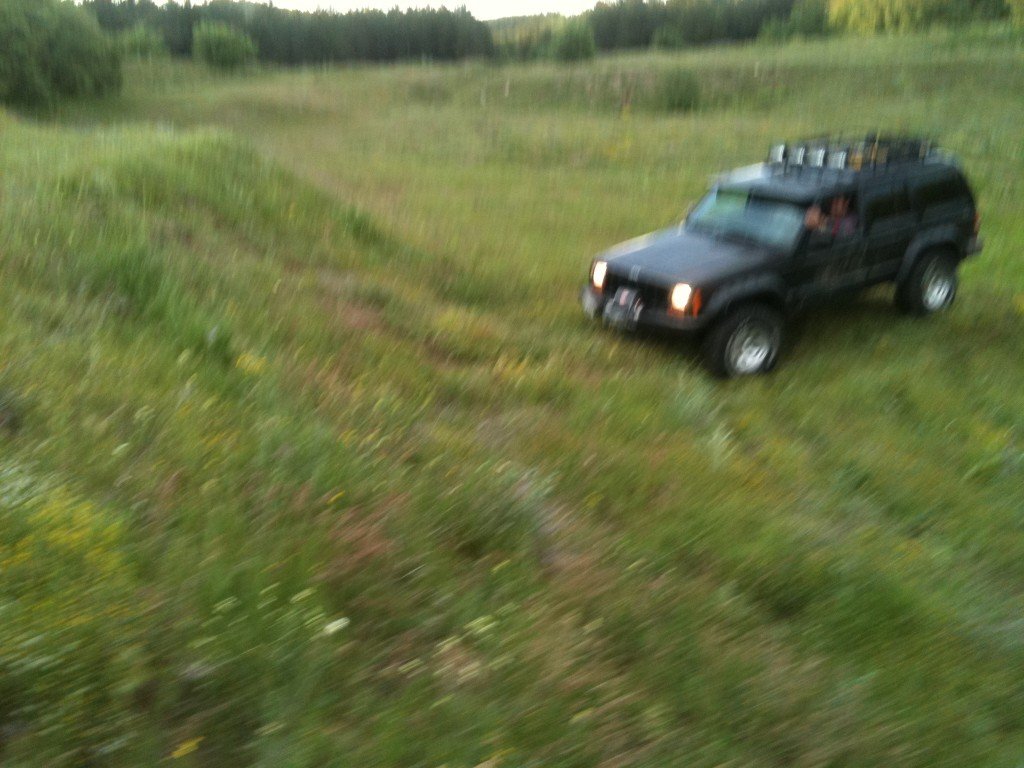 IMG_0503.jpg