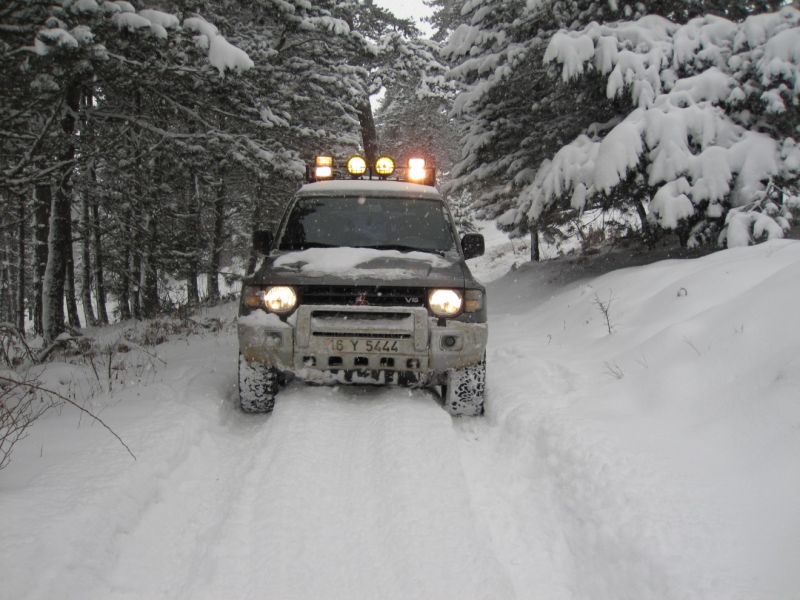 IMG_0533 (1320 x 990).jpg