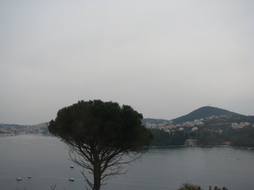 IMG_0647.JPG