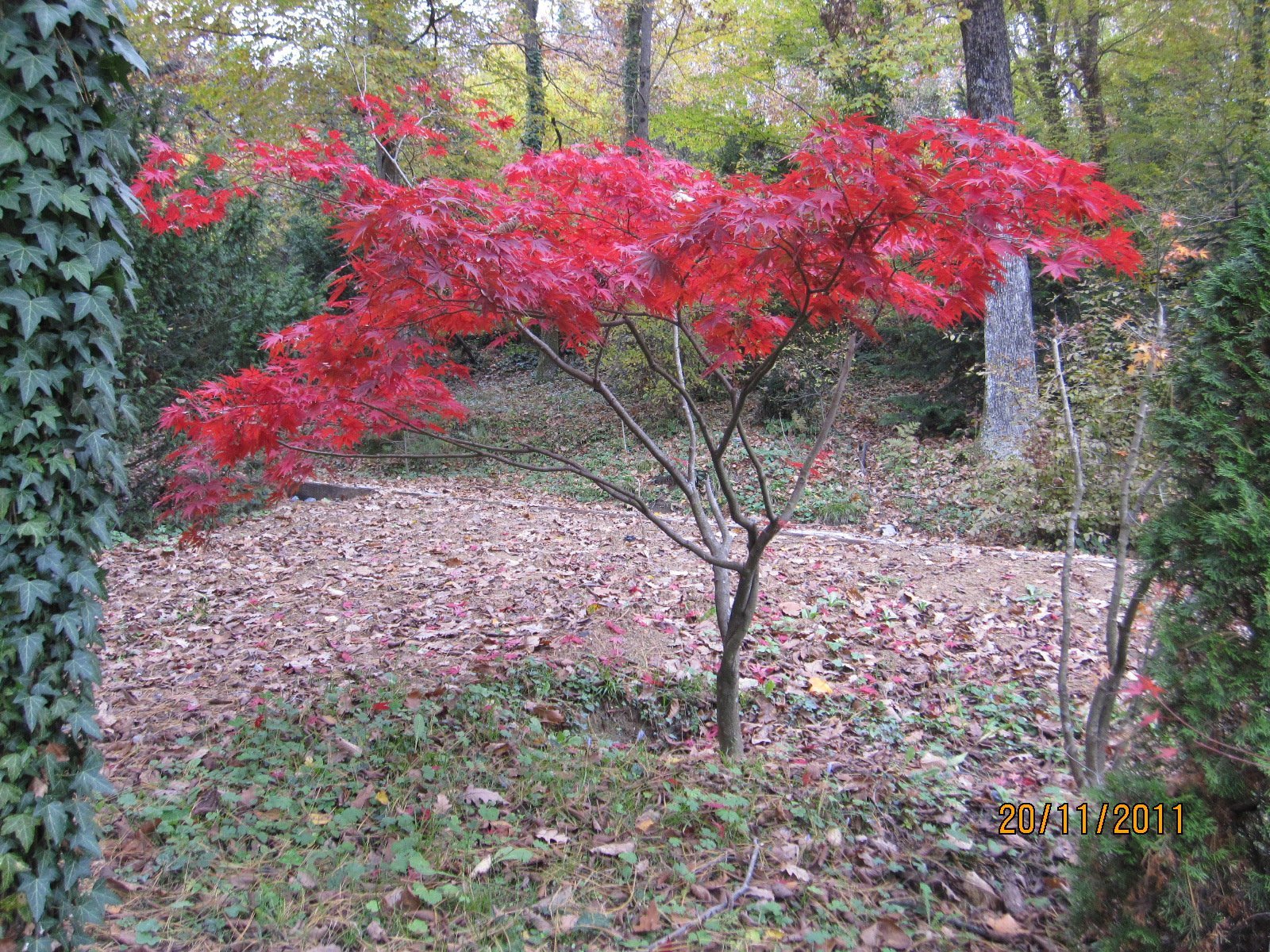 IMG_0653.jpg