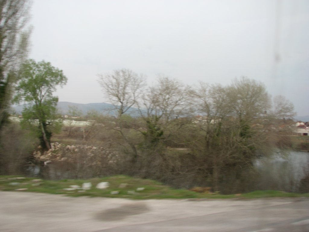 IMG_0656.JPG