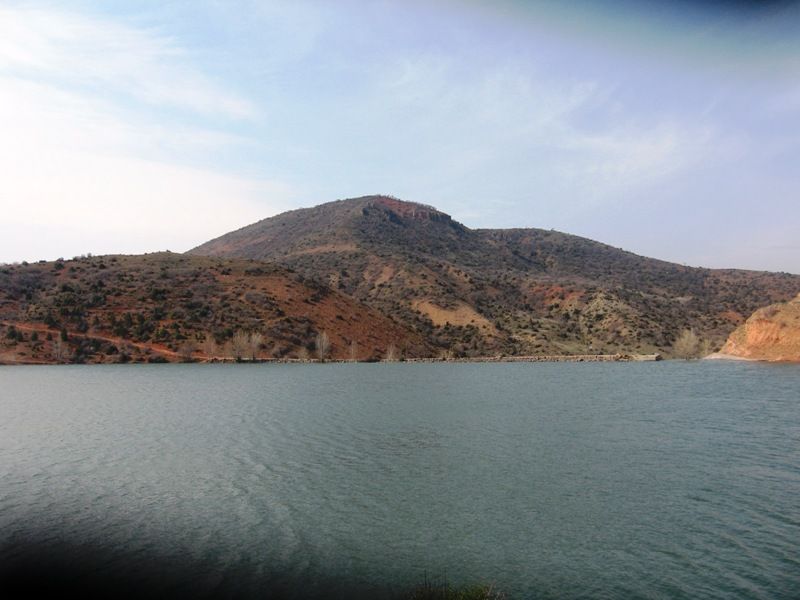 IMG_0660.jpg