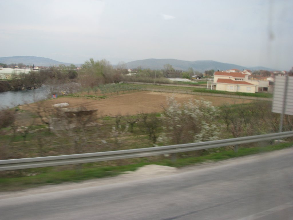 IMG_0660.JPG