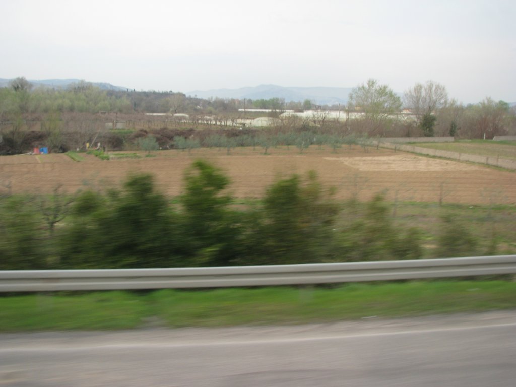IMG_0661.JPG