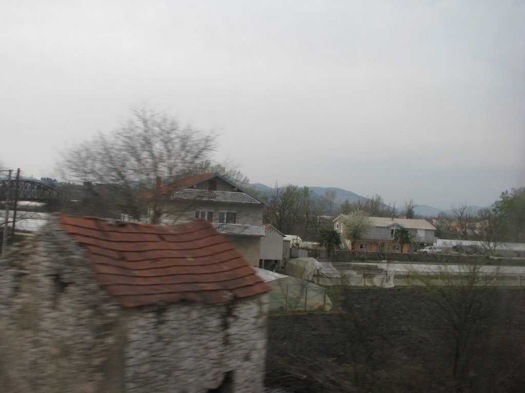 IMG_0662.JPG