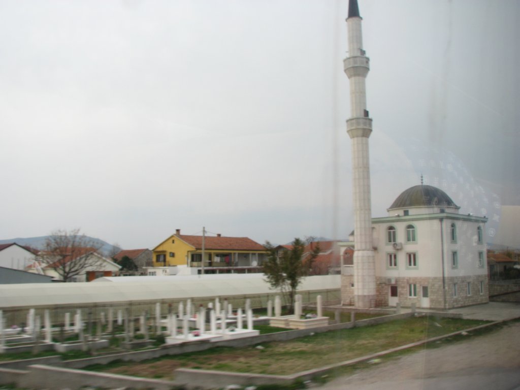 IMG_0665.JPG