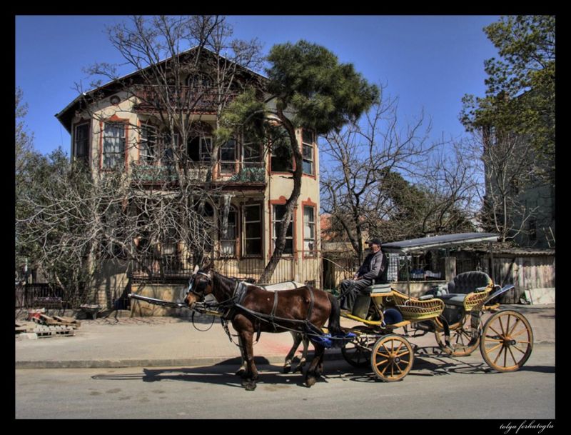 IMG_0670_tonemappeda copy.jpg