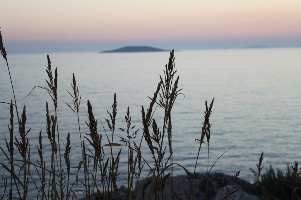 IMG_0685.JPG