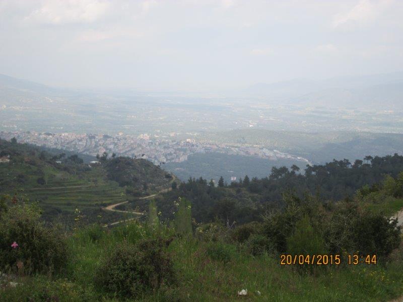 IMG_0722.jpg