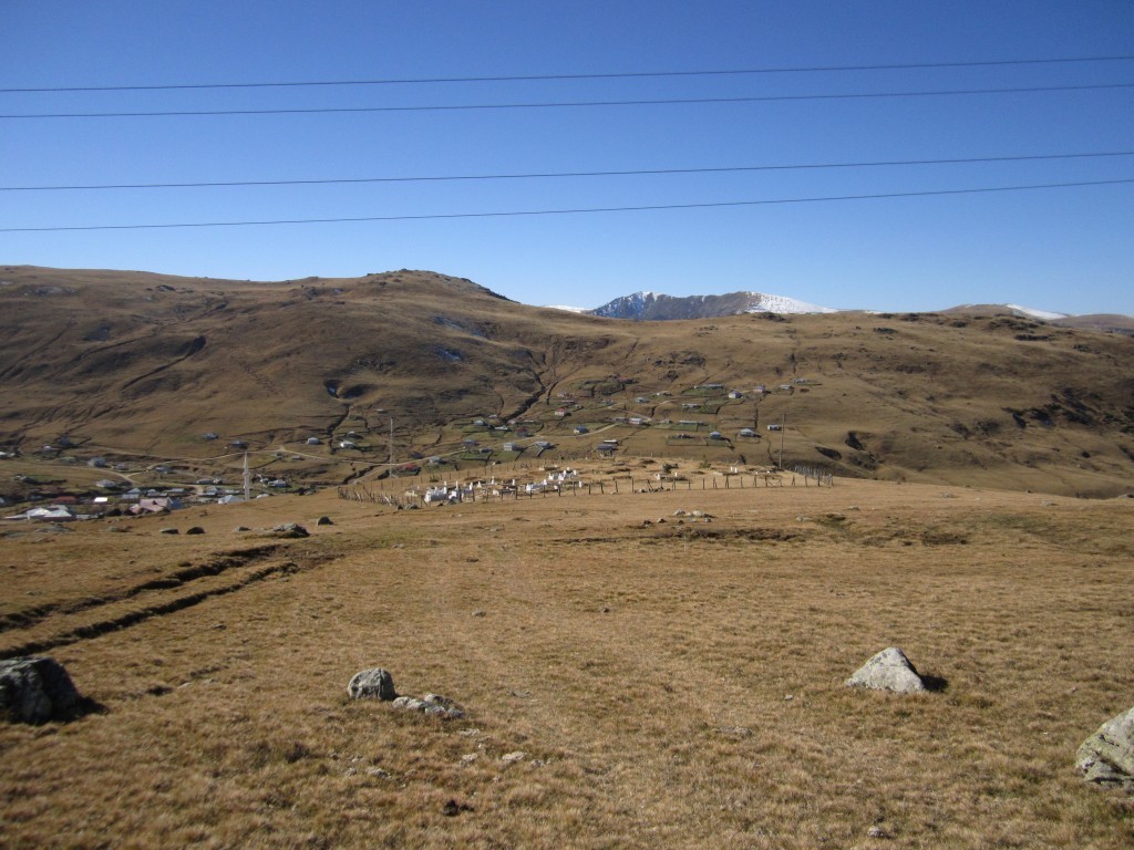 IMG_0840.JPG