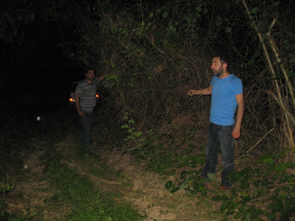 IMG_0849.JPG