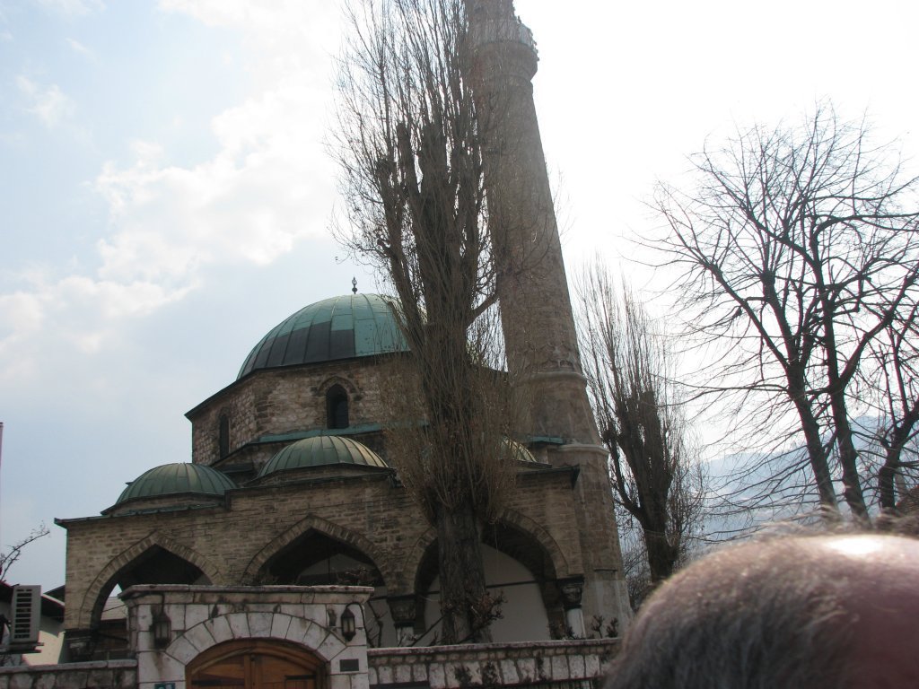 IMG_0867.JPG