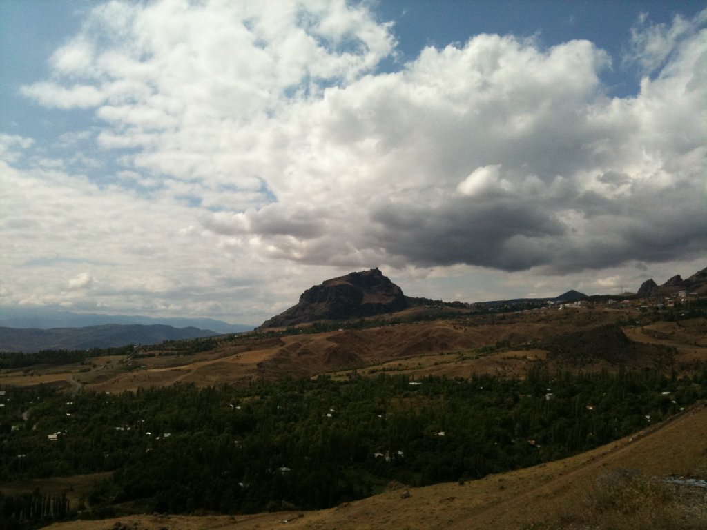IMG_0878.jpg