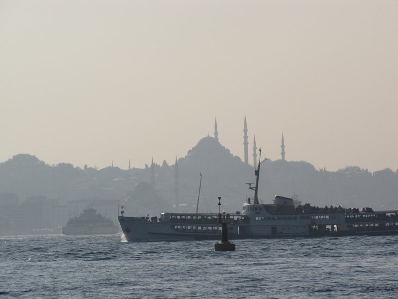 IMG_0886.jpg