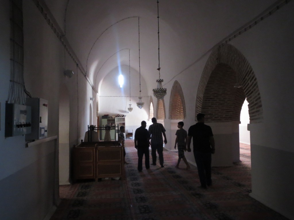 IMG_0916.JPG
