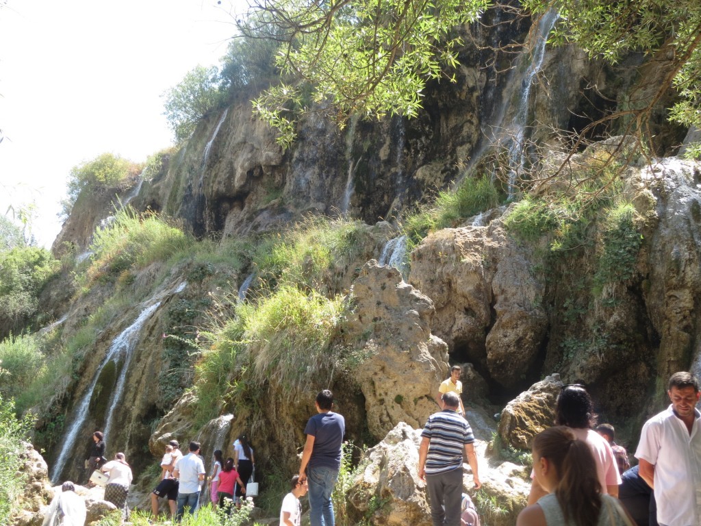 IMG_0973.JPG