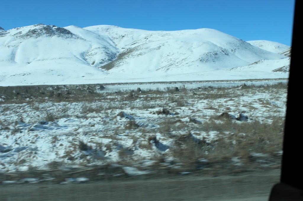 IMG_0975.JPG