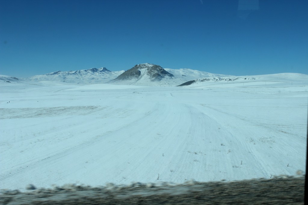 IMG_0976.JPG