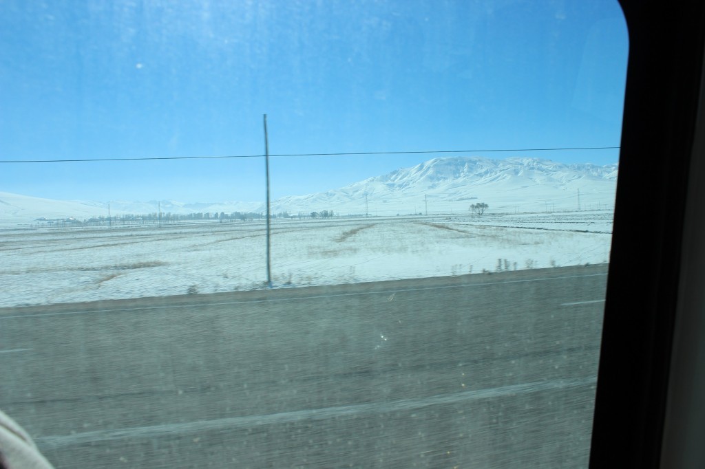 IMG_0989.jpg