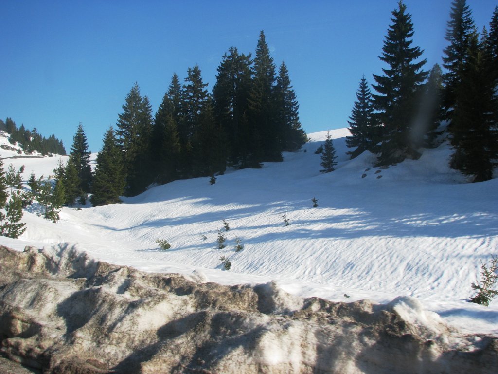 IMG_1015.JPG