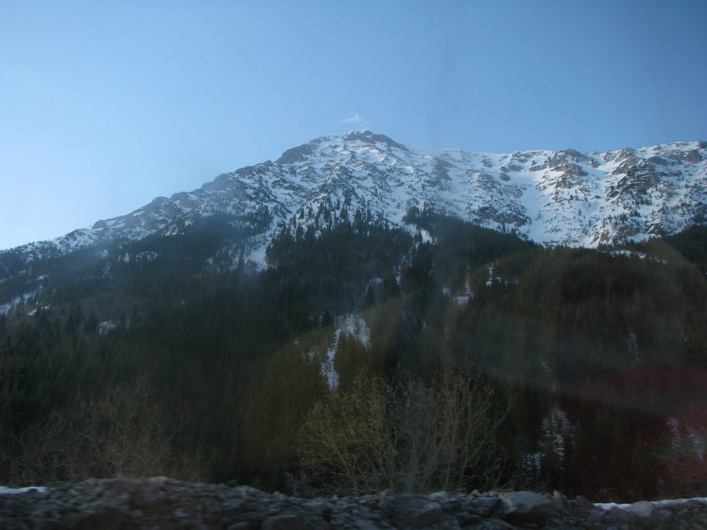 IMG_1016.JPG