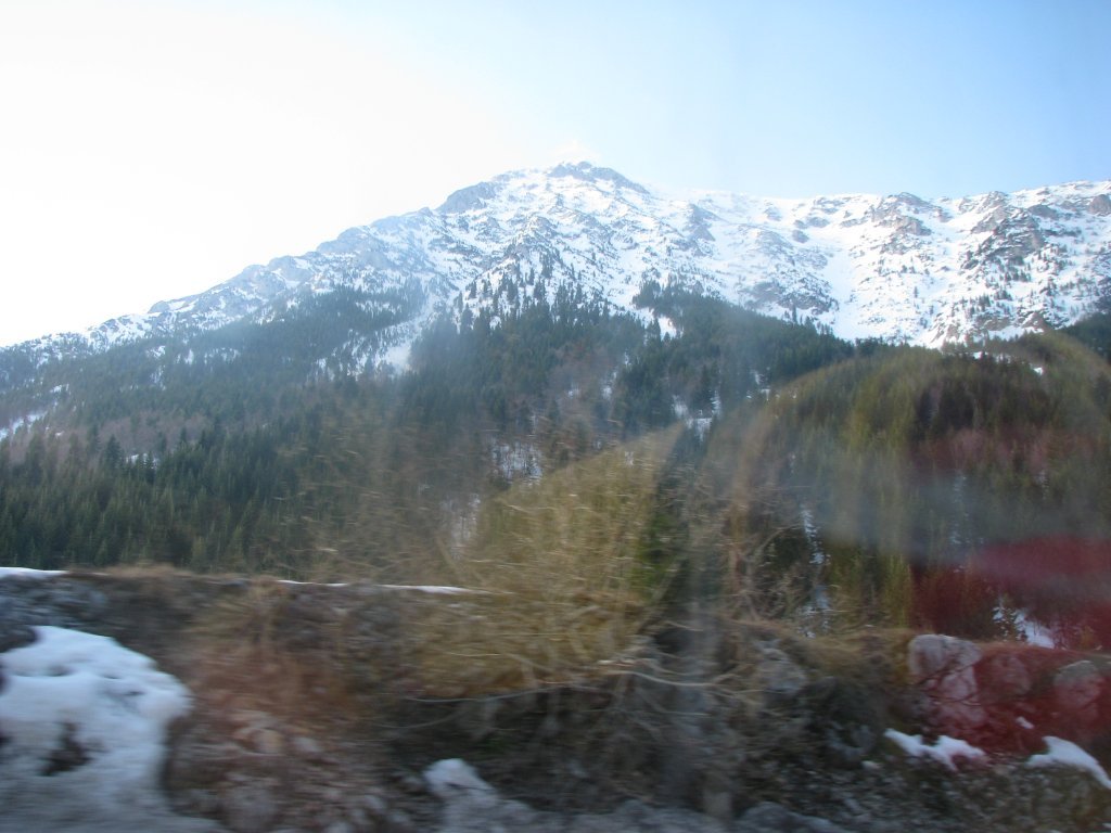 IMG_1017.JPG