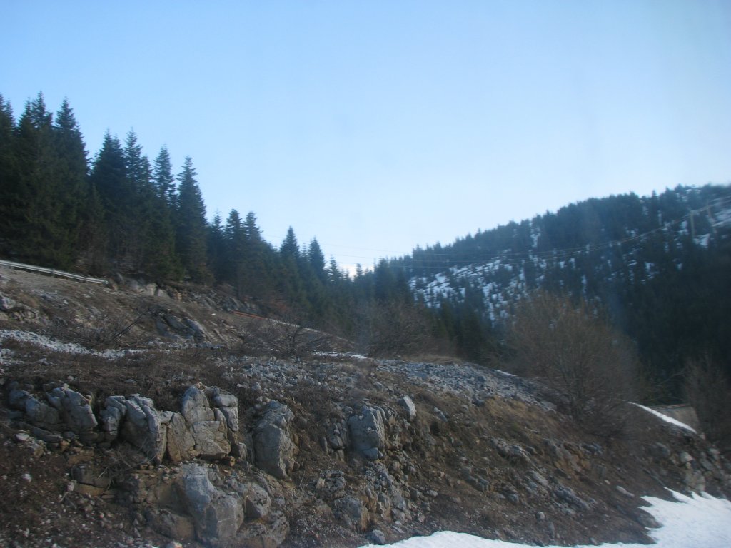 IMG_1020.JPG