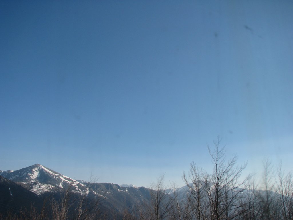 IMG_1024.JPG