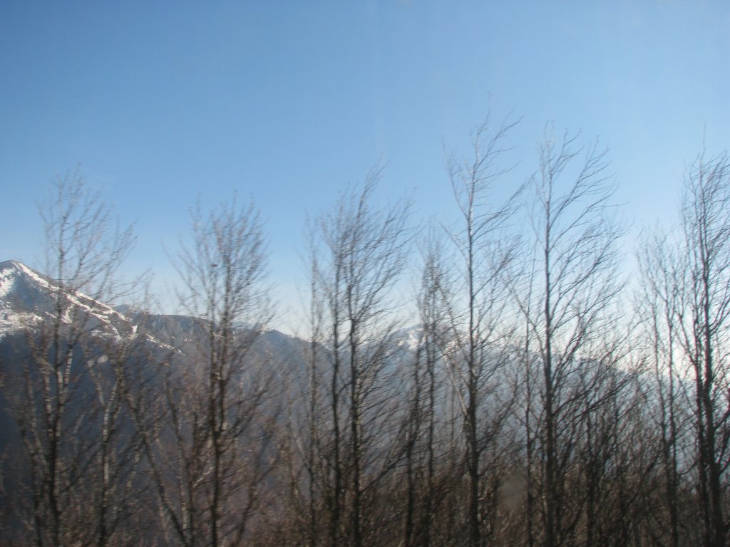 IMG_1027.JPG