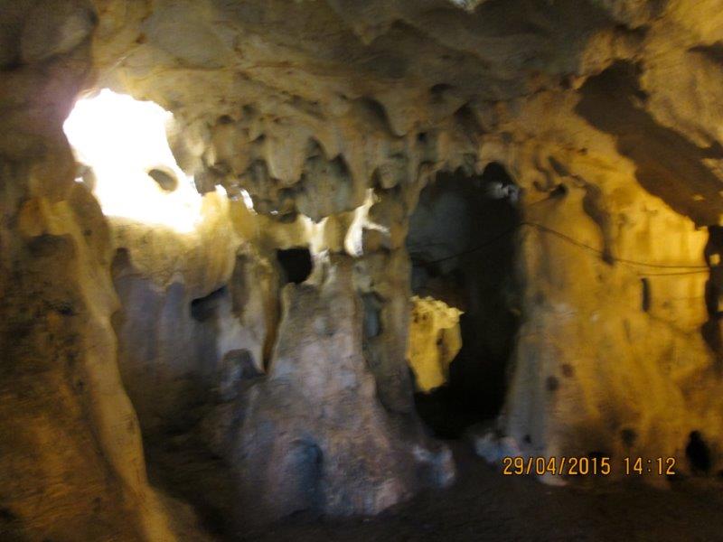 IMG_1044.jpg