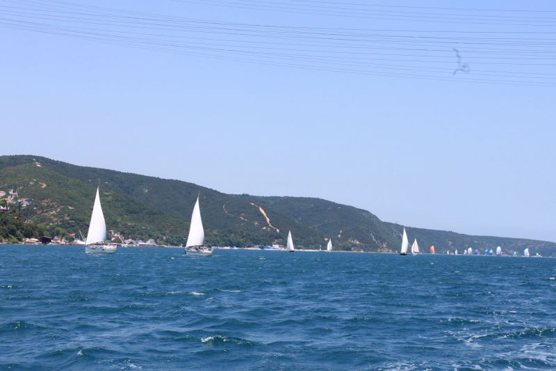 IMG_1112.jpg