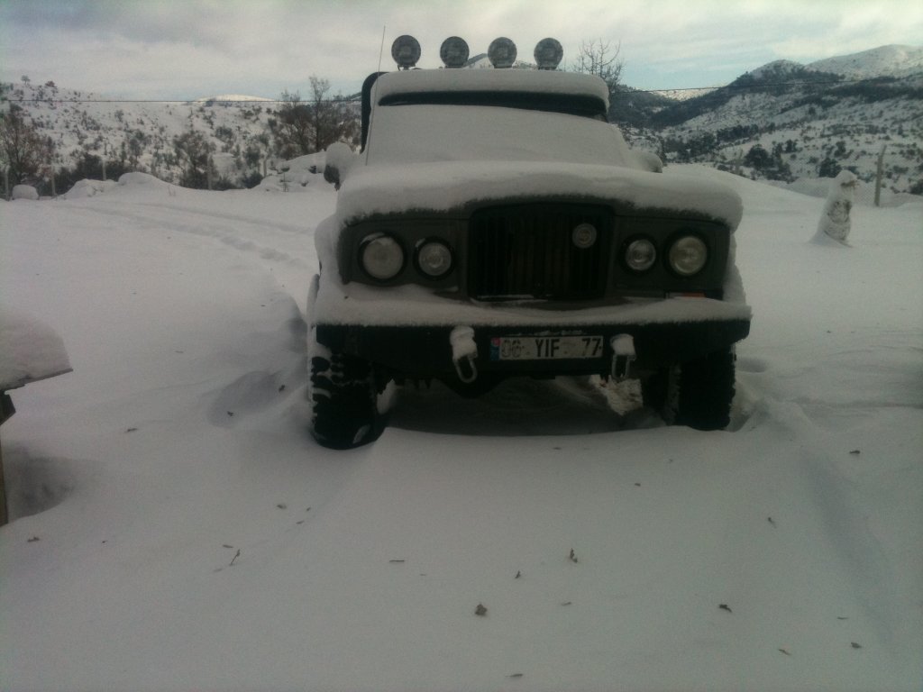 IMG_1132.jpg