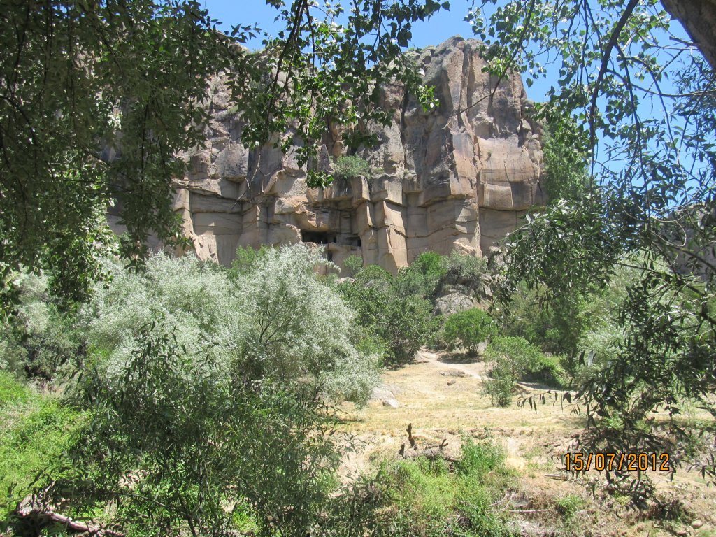 IMG_1169.JPG