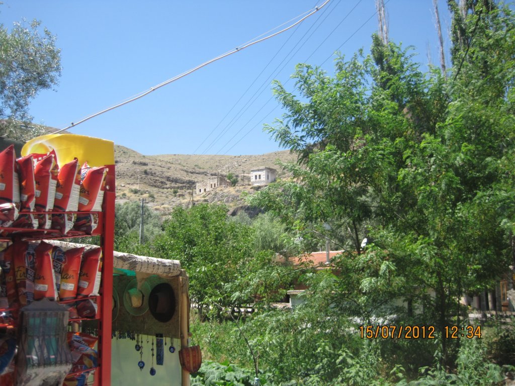 IMG_1184.jpg