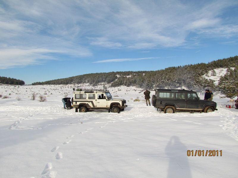 IMG_1188.jpg