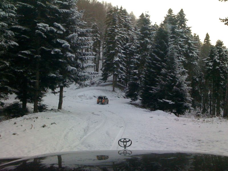 IMG_1202.jpg