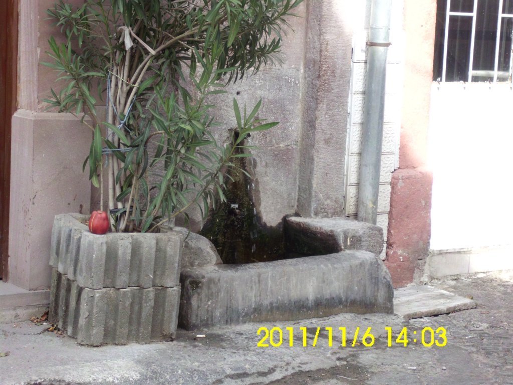 IMG_1239.JPG