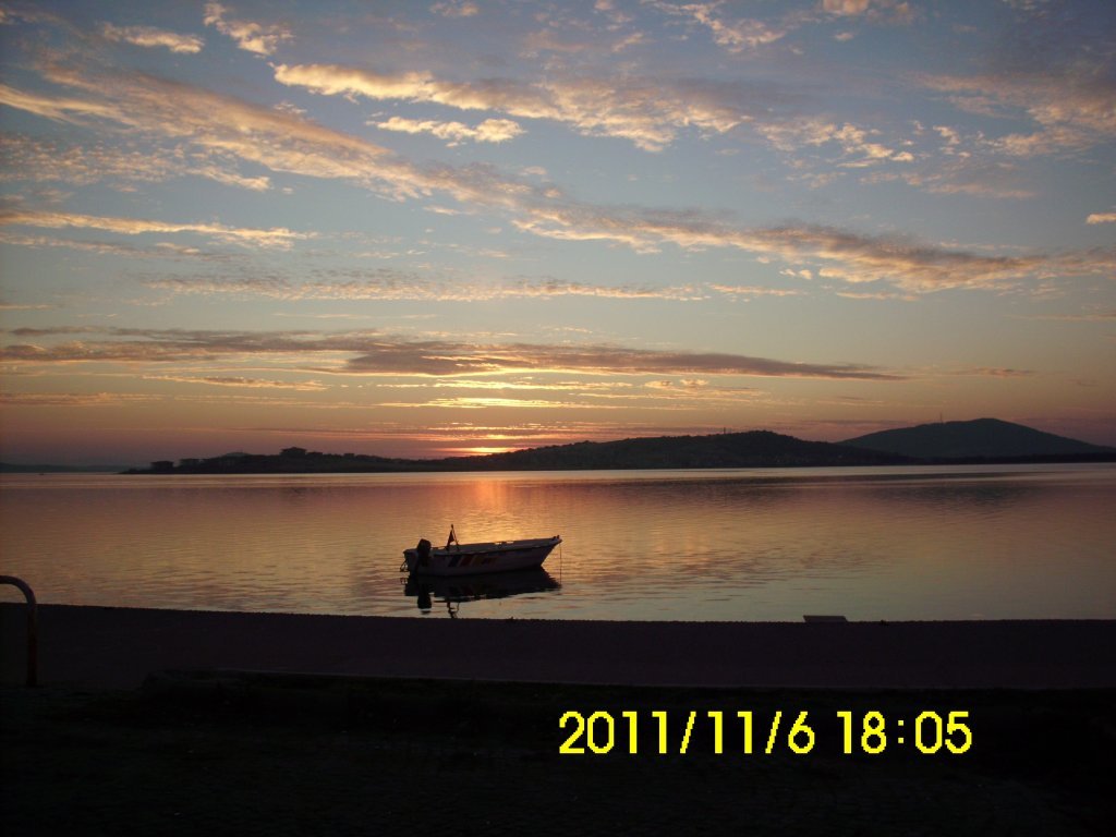 IMG_1264.JPG
