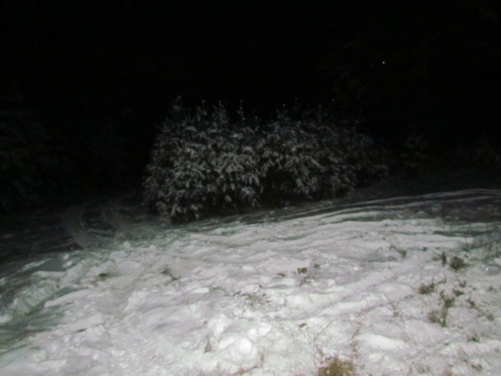 IMG_1265.JPG