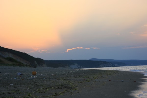 IMG_1270 (600 x 400).jpg