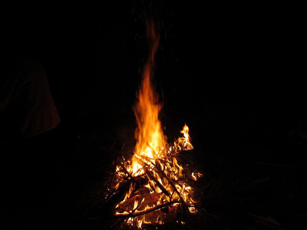IMG_1270.JPG
