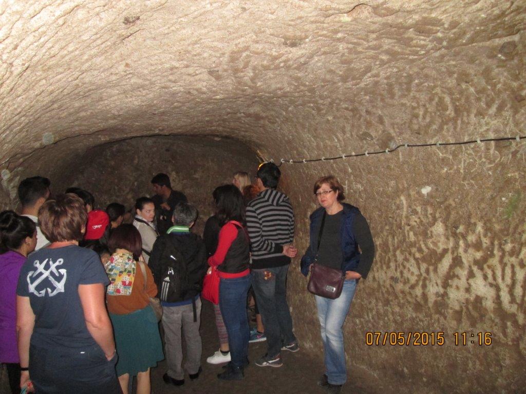 IMG_1329.jpg