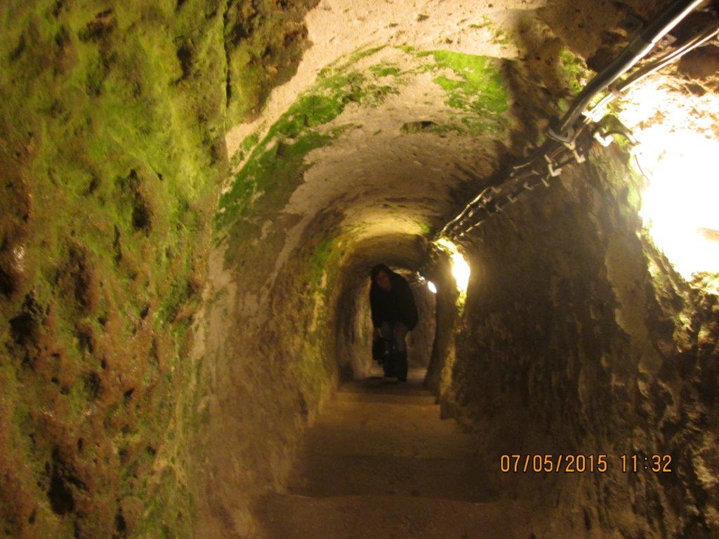 IMG_1340.jpg
