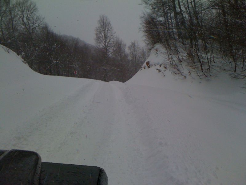 IMG_1373.jpg